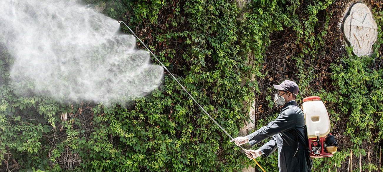 Manejo de plagas, especialistas en plagas