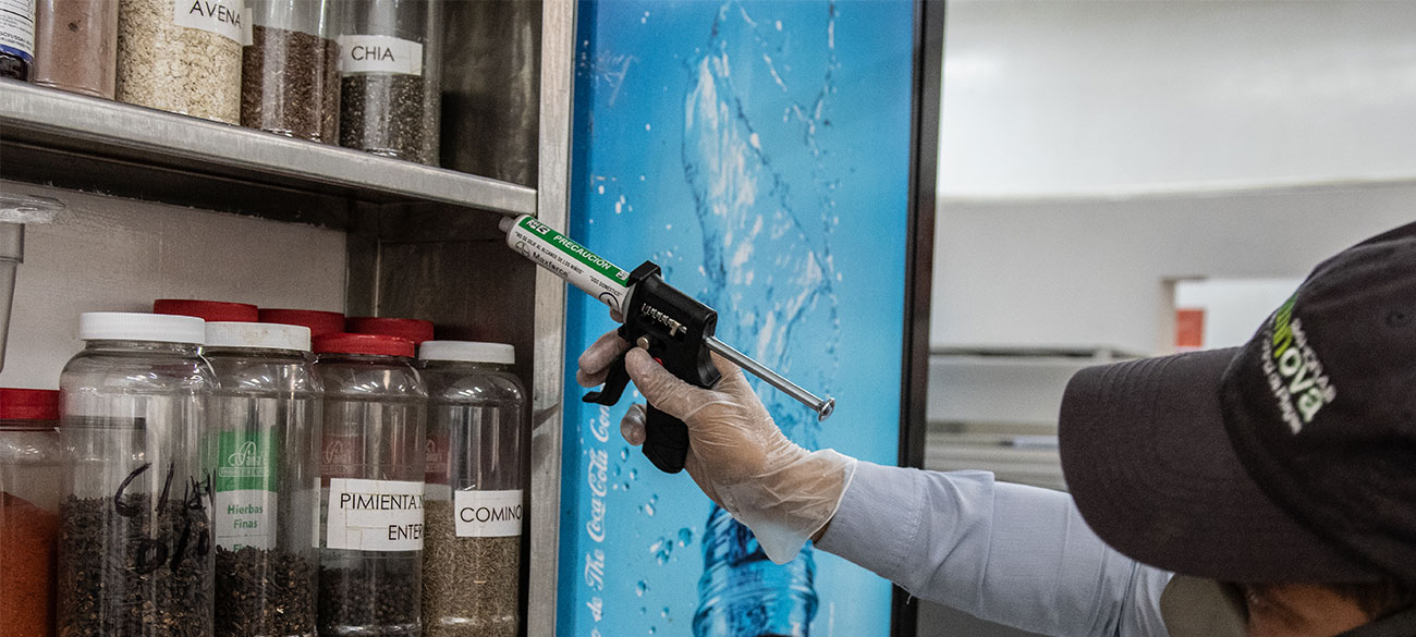 Manejo de plagas, especialistas en plagas