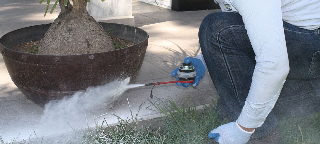 Manejo de plagas, especialistas en plagas