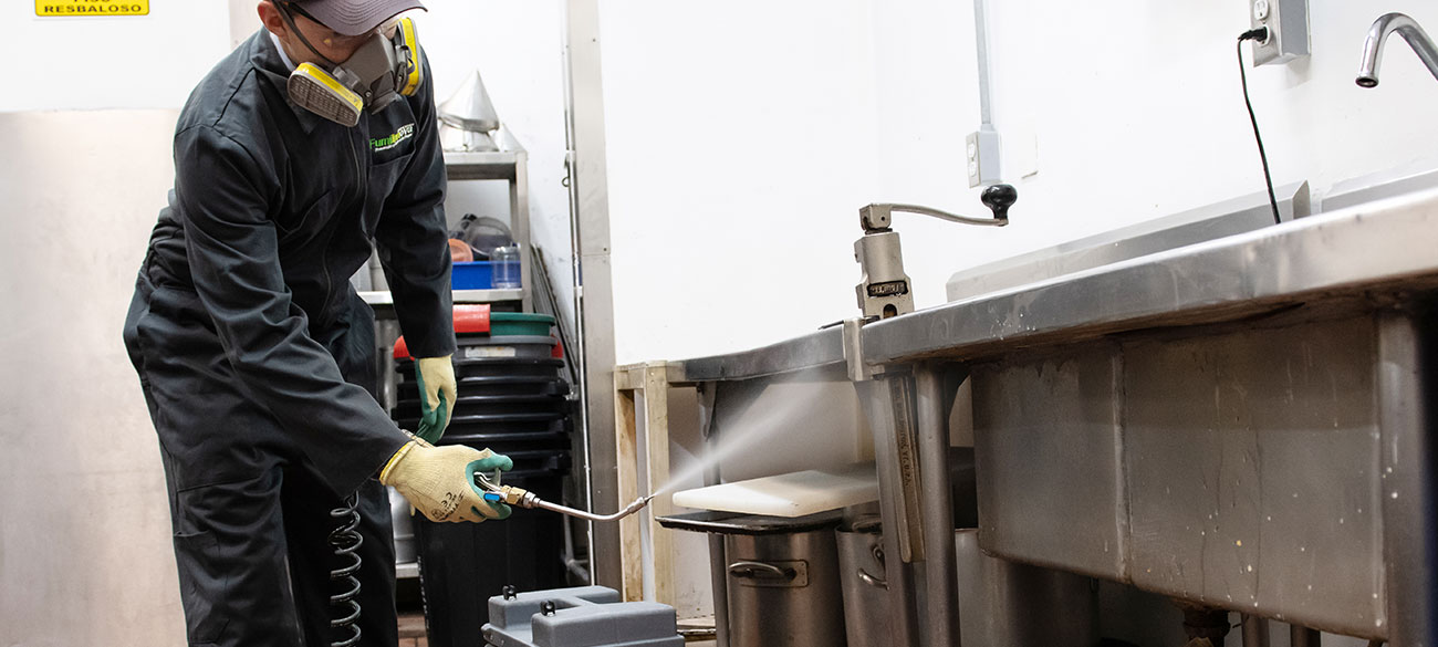 Manejo de plagas, especialistas en plagas