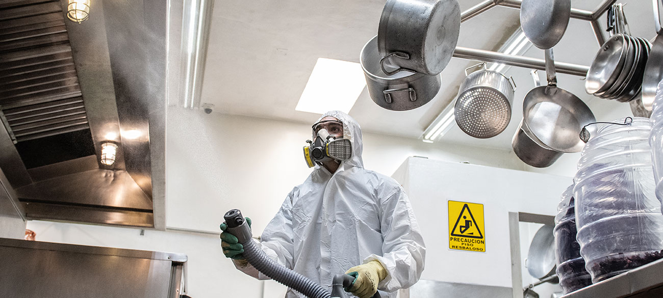 Manejo de plagas, especialistas en plagas