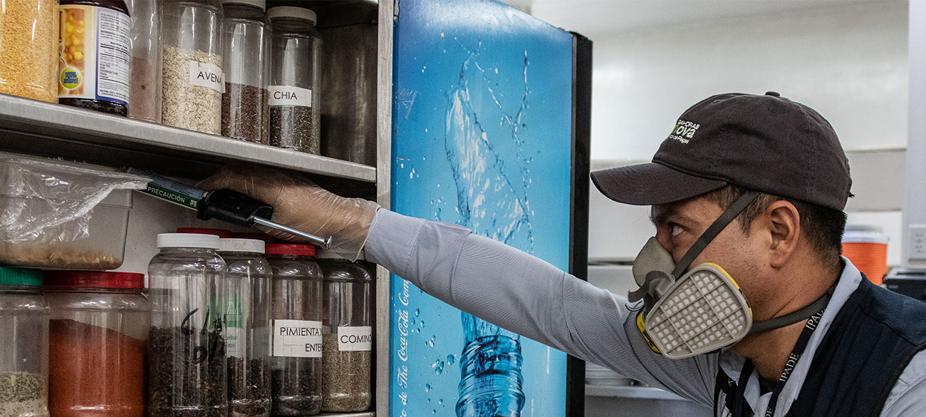 Manejo de plagas, especialistas en plagas