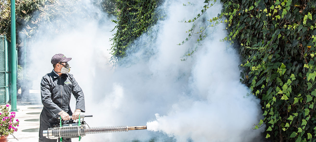 Manejo de plagas, especialistas en plagas